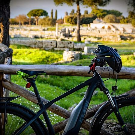Villa Claudianna Bed & Bike Paestum Exterior photo
