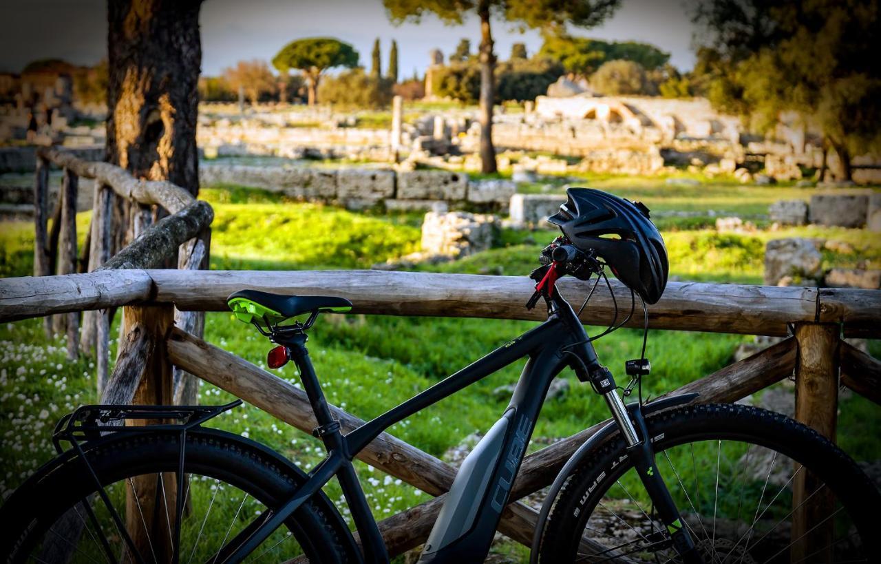 Villa Claudianna Bed & Bike Paestum Exterior photo